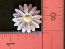 Load image into Gallery viewer, Silicone Mold Flower Daisy used with wax, Candle, gypsum, resin, hot glue, soap, clay, concrete, metal FL6