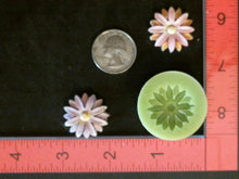 Load image into Gallery viewer, Silicone Mold Flower Daisy used with wax, Candle, gypsum, resin, hot glue, soap, clay, concrete, metal FL6