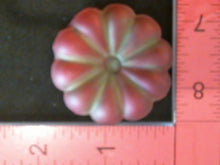 Load image into Gallery viewer, Silicone Mold Flower Daisy used with wax, Candle, gypsum, resin, hot glue, soap, clay, concrete, metal